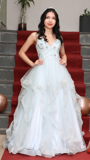 Vestido de Debutante com Bordado e Camadas em Tule - Imagem 6